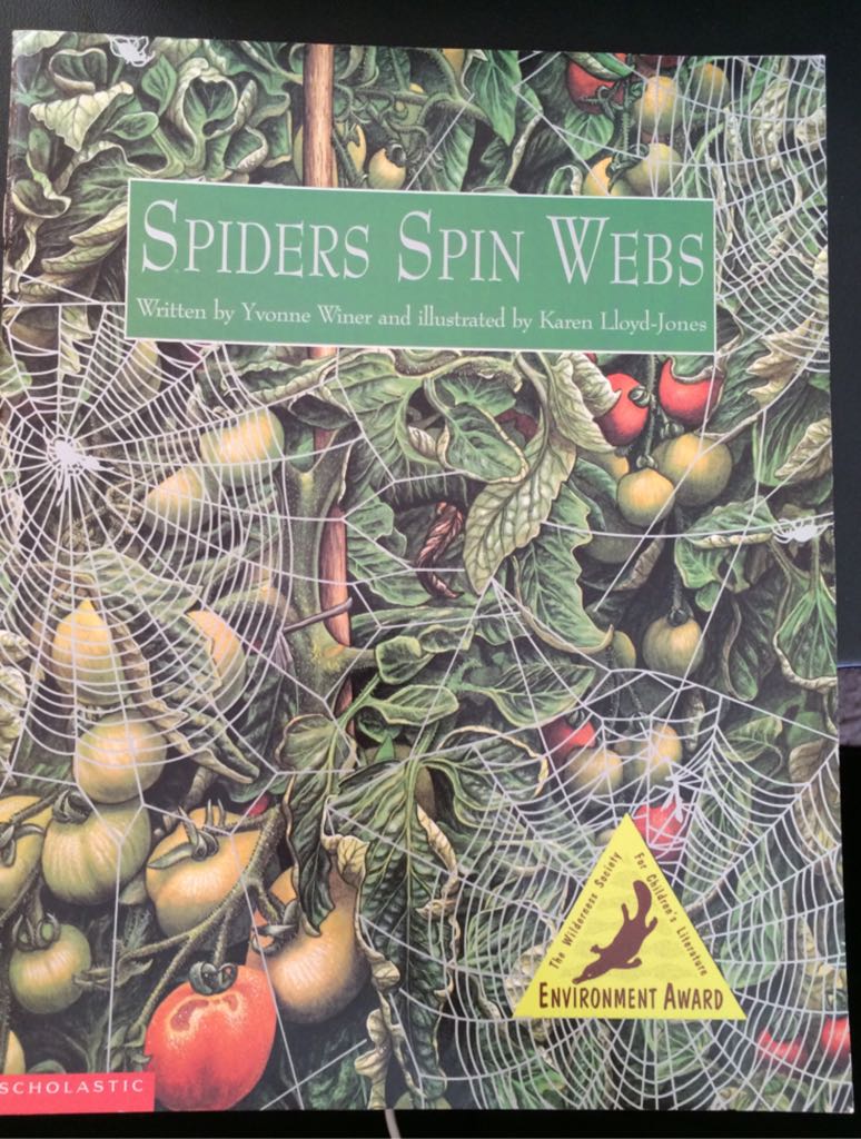 Spiders Spin Webs