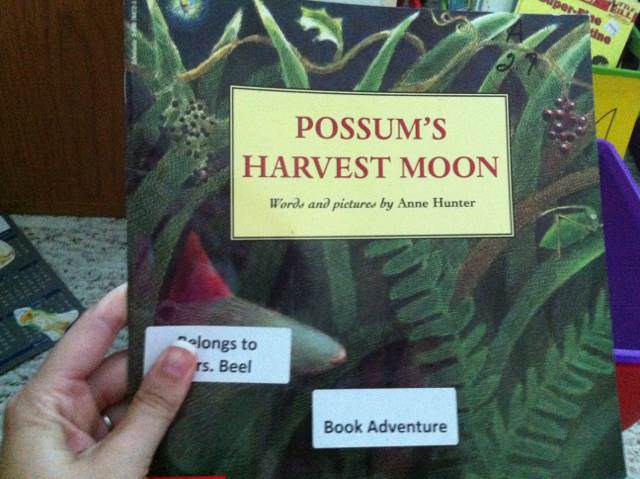 Possum’s Harvest Moon