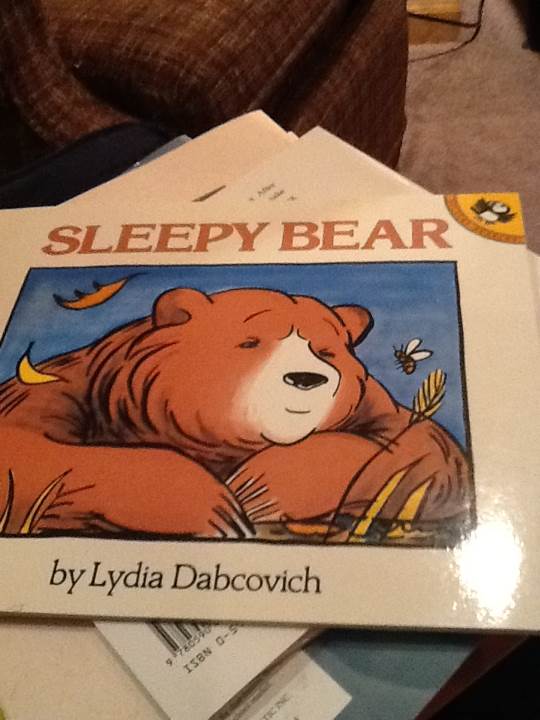 Sleepy Bear