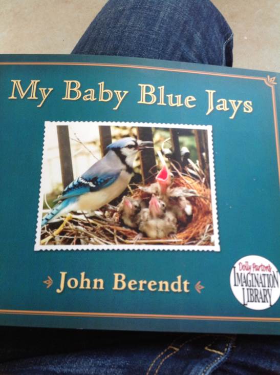 My Baby Blue Jays - John Berendt (The Penguin Group - Paperback) book collectible [Barcode 9780670784752] - Main Image 1