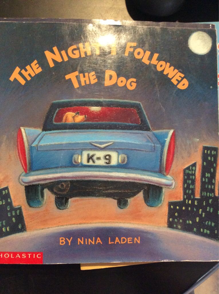 The Night I Followed the Dog