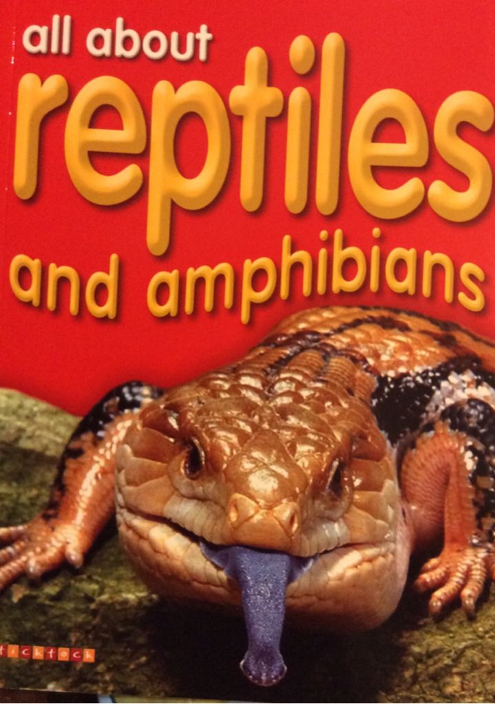 All about Reptiles & Amphibians - Dee Phillips book collectible [Barcode 9781846966293] - Main Image 1
