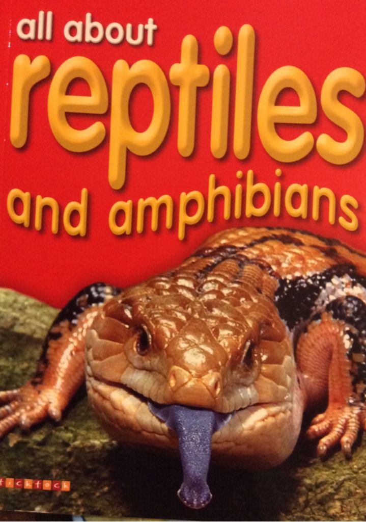 All about Reptiles & Amphibians