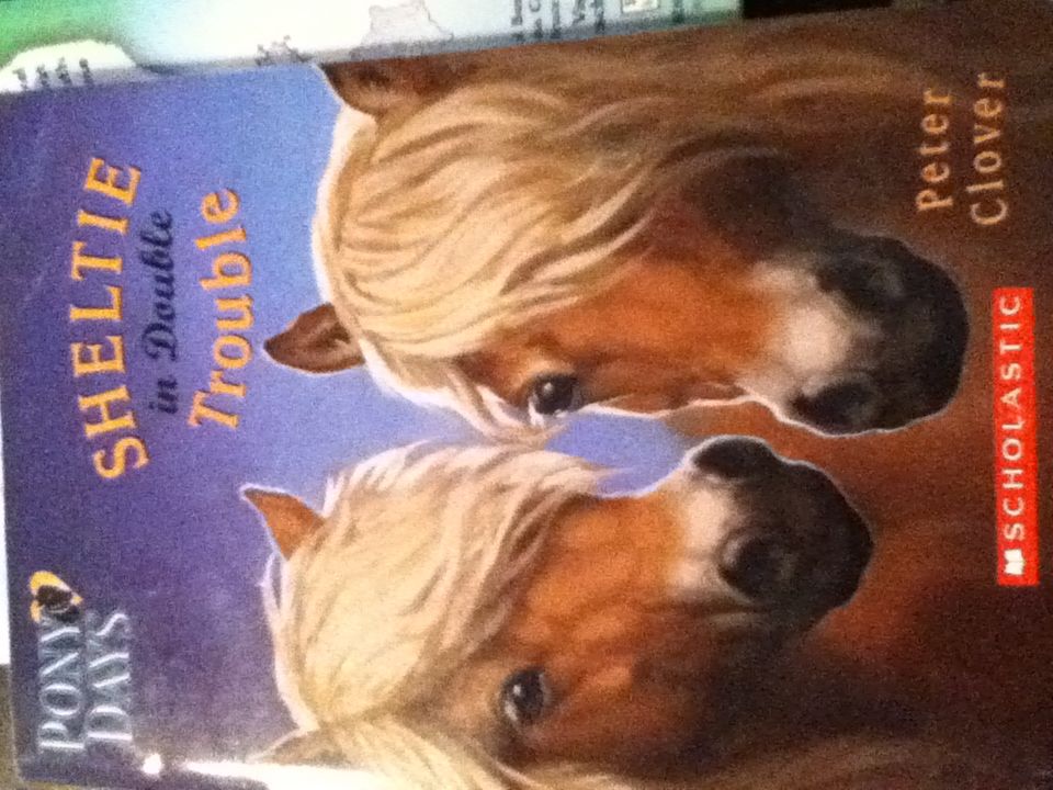 Sheltie In Double Trouble