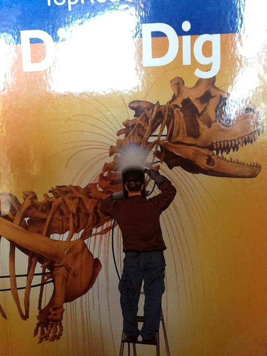 Dino Dig