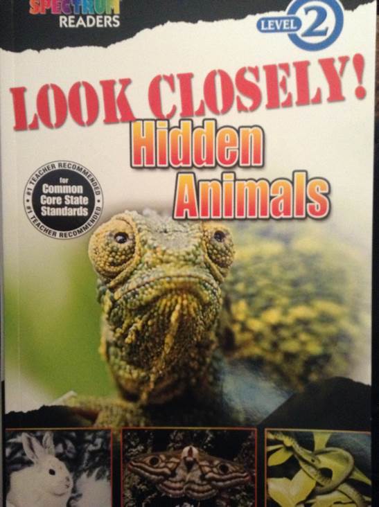 Look Closely! Hidden Animals