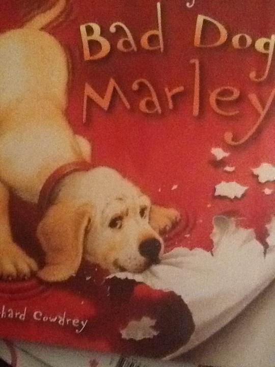 Bad Dog Marley