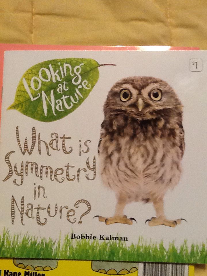 What Is Symmetry In Nature?