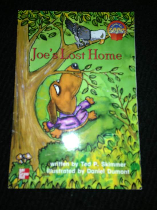 Joe’s lost home - Ted P. book collectible [Barcode 9780021849918] - Main Image 1