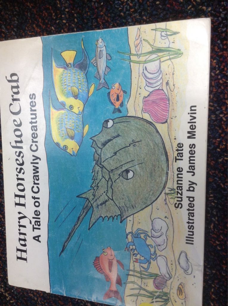 Harry Horseshoe Crab