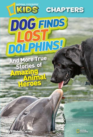 Dog find Lost Dolphins - Elizabeth Carney (Scholastic - Paperback) book collectible [Barcode 9780545505048] - Main Image 1