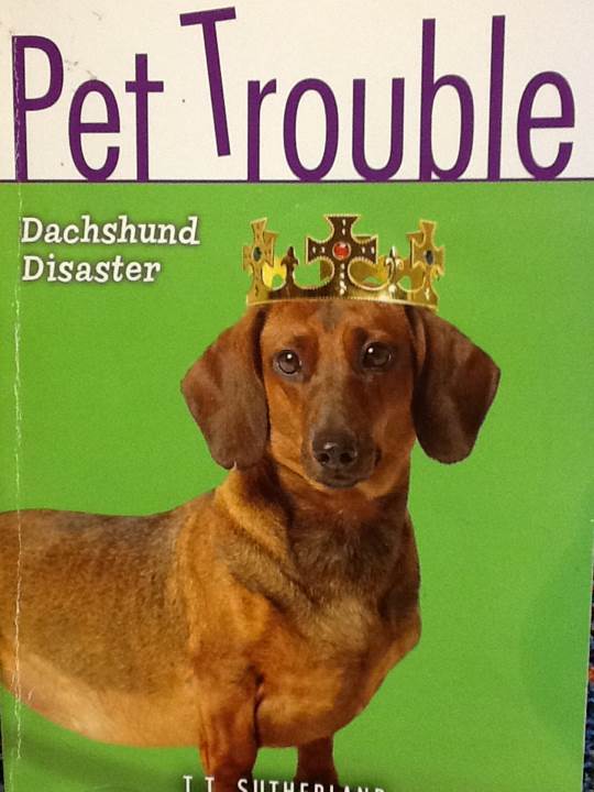 Dachshund Disaster