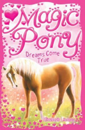 The Magic Pony