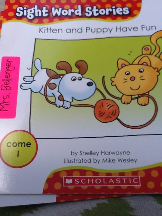 Sight Word Stories: Kitten and Puppy Have Fun