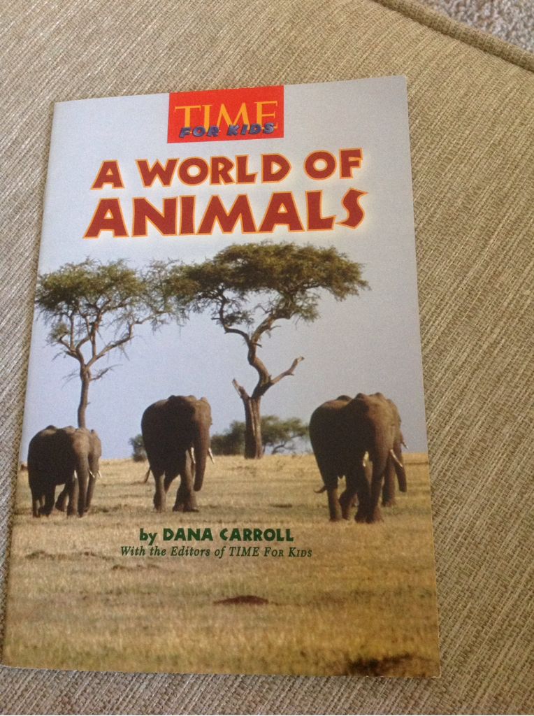 A World Of Animals