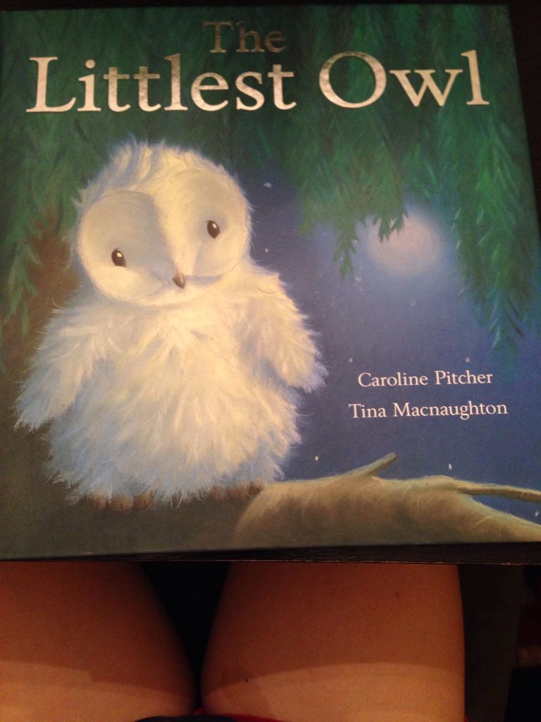 The Littlest Owl