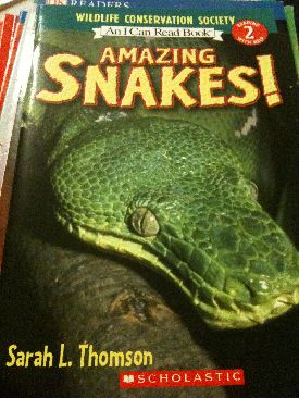 Amazing Snakes - Sarah L. Thomson (- Paperback) book collectible [Barcode 9780439028431] - Main Image 1