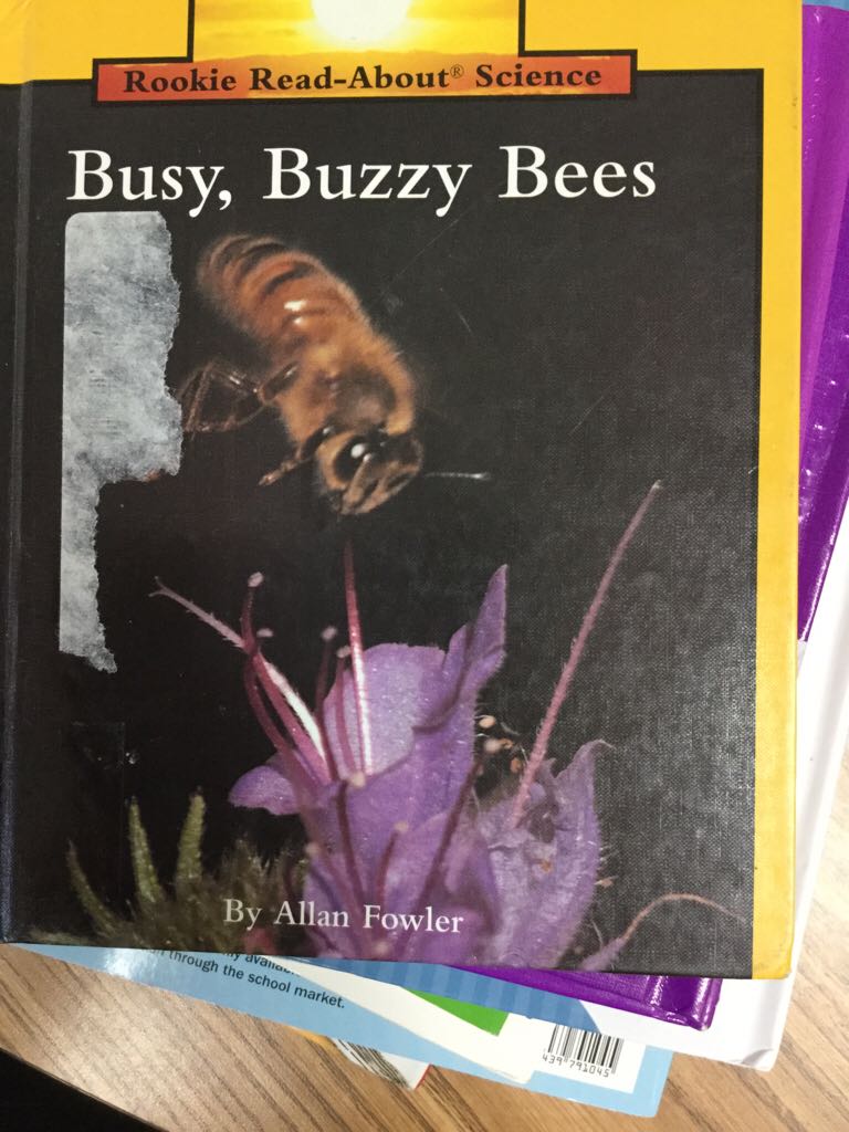 Busy, buzzy bees - Allan Fowler (Children’s Press - Paperback) book collectible [Barcode 9780516060378] - Main Image 1
