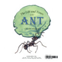 The Life and Times of the Ant
