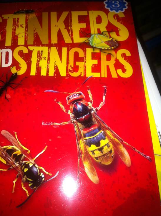 Stinkers and Stingers - Kathryn knight (- Paperback) book collectible [Barcode 9781403773944] - Main Image 1