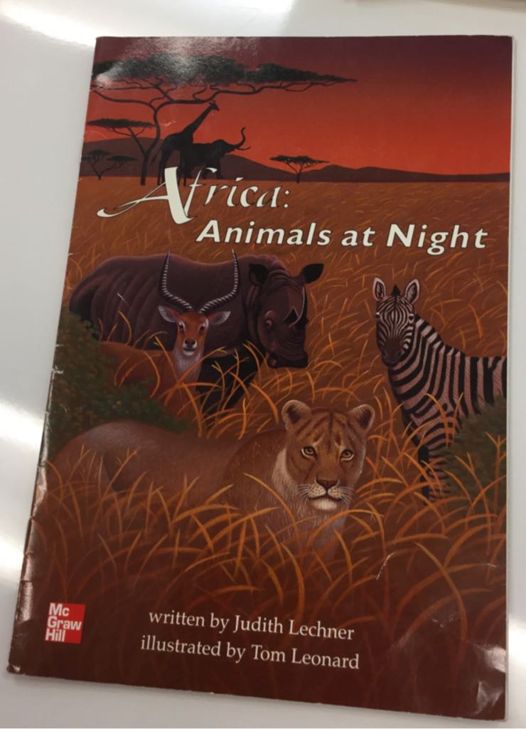 Africa: Animals At Night