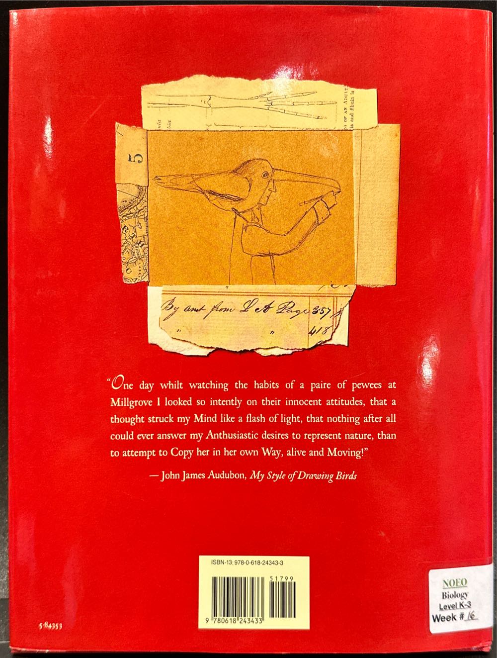 The Boy Who Drew Birds: A Story of John James Audubon - Jacqueline Davies (Houghton Mifflin Company - Hardcover) book collectible [Barcode 9780618243433] - Main Image 3