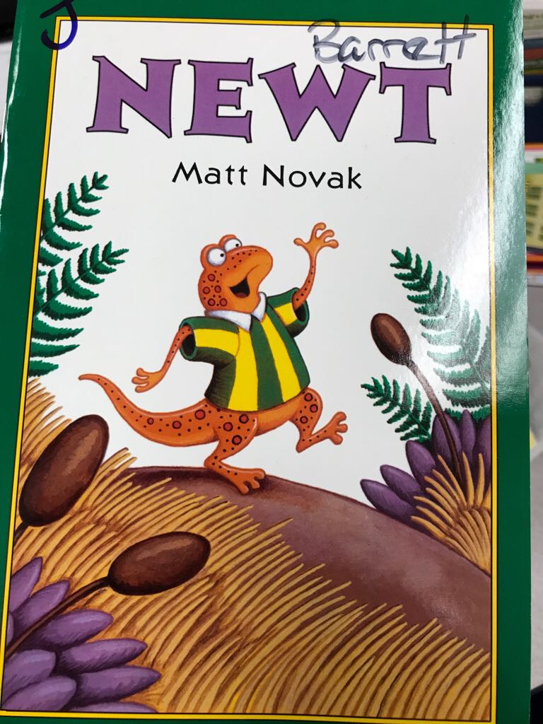 Newt