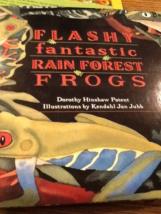 Flashy, Fantastic Rain Forest Frogs
