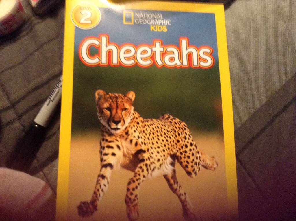 Cheetahs - Ann O Squire (Jungle - Paperback) book collectible [Barcode 9780545638159] - Main Image 1