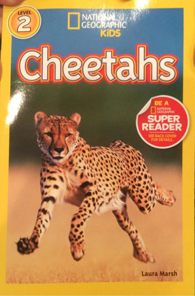 Cheetahs - No Author Given book collectible [Barcode 9781426319808] - Main Image 1