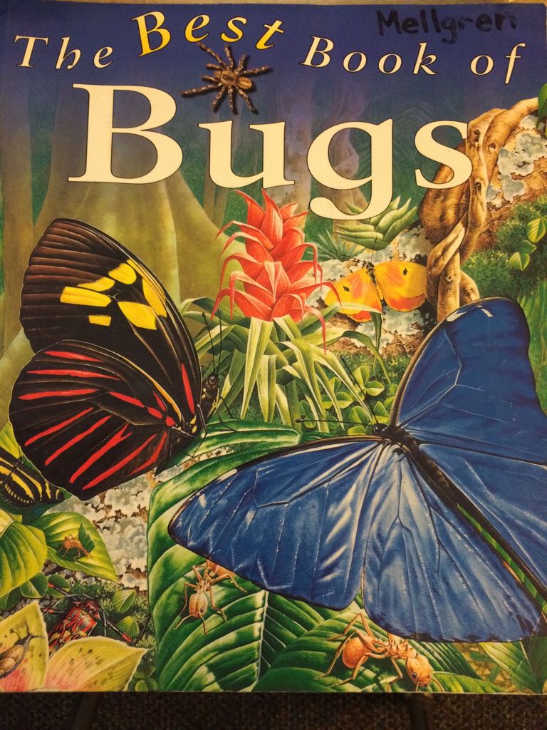 The Best Book of Bugs