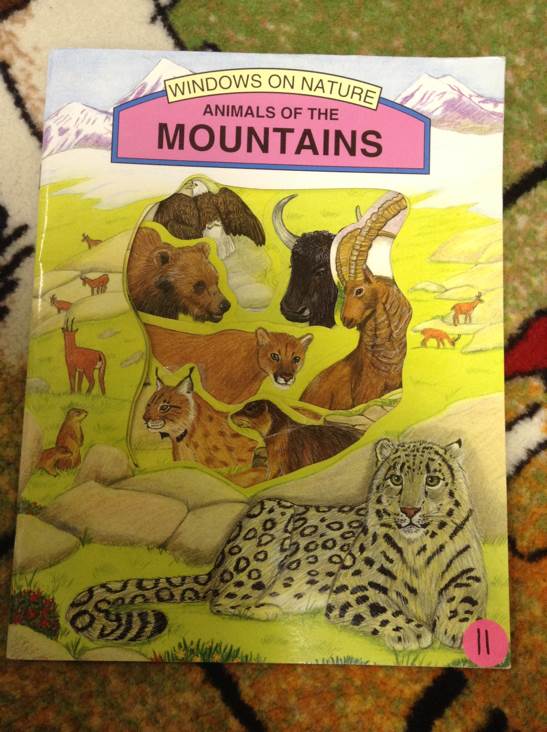 Animals of the Mountains - Windows on book collectible [Barcode 9781900933063] - Main Image 1