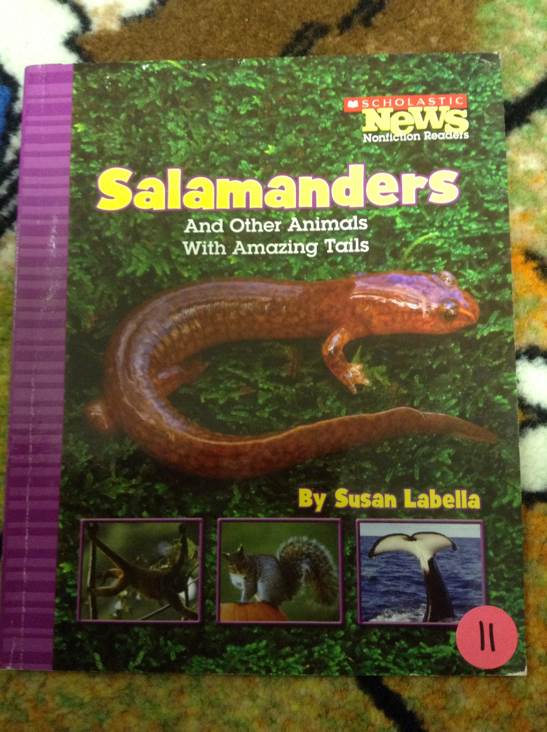 Salamanders