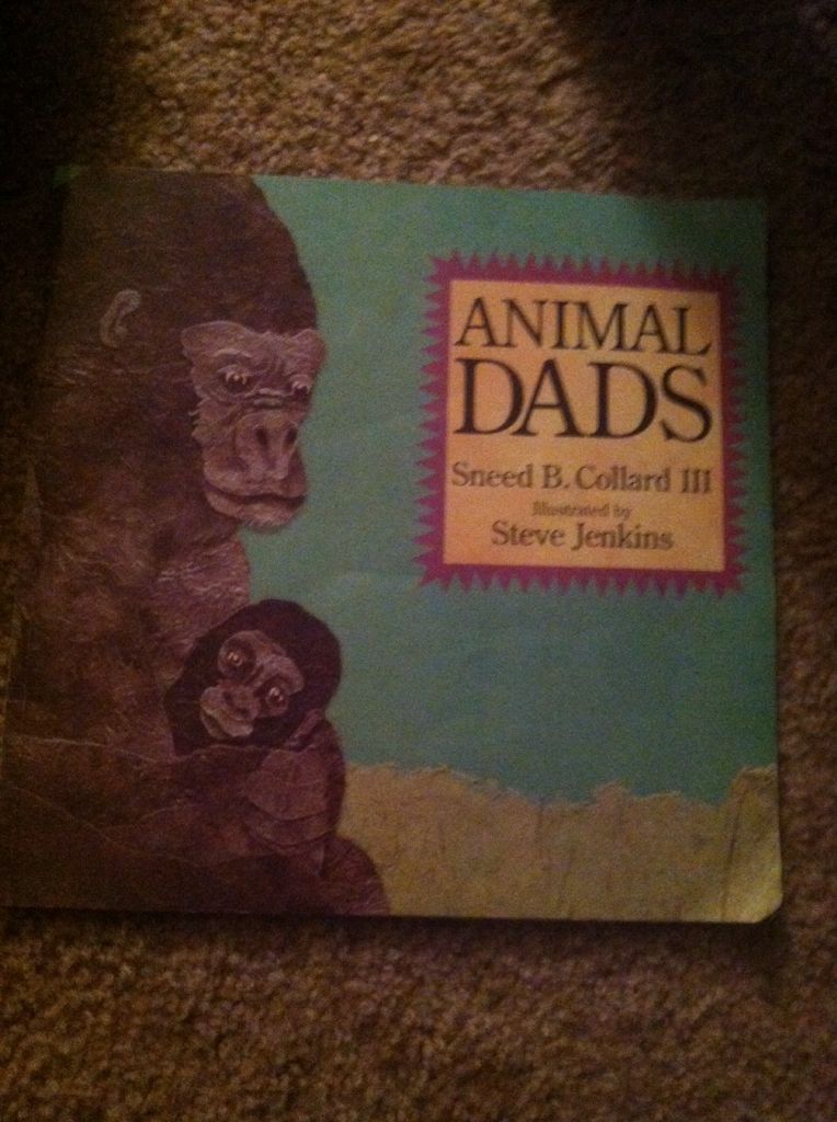Animal Dads - B. Collard (Book Studio - Paperback) book collectible [Barcode 9780439195683] - Main Image 1