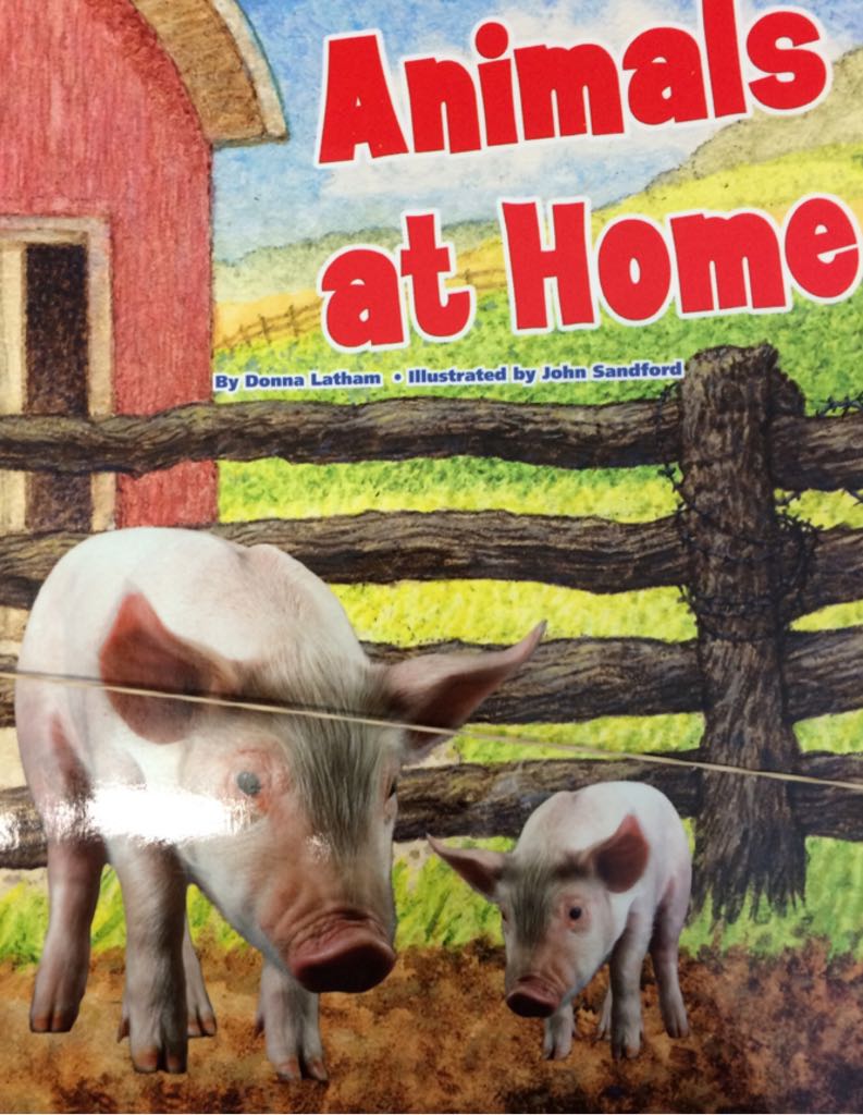 Animals At Home