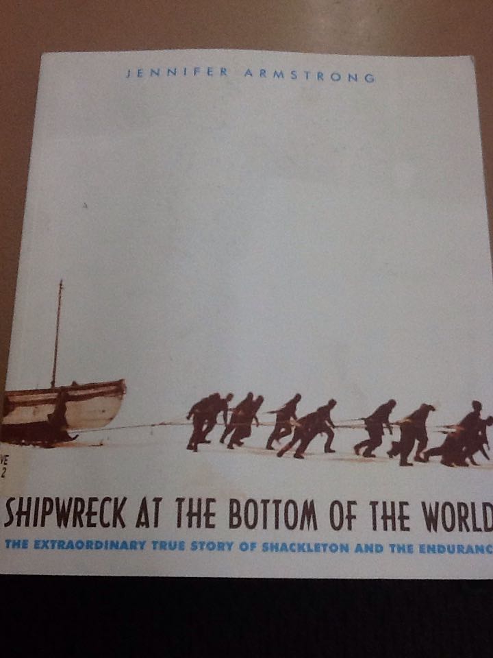Shipwreck at the bottom of the world