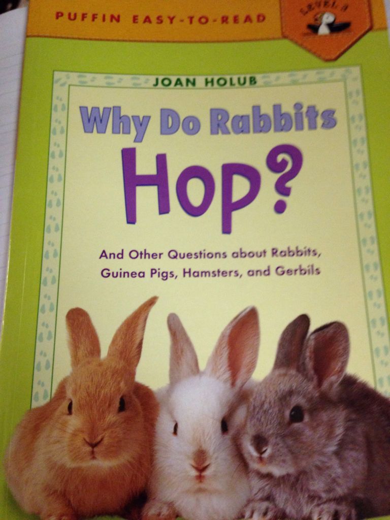 Why Do Rabbits Hop?