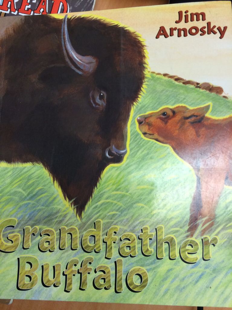 Grandfather Buffalo