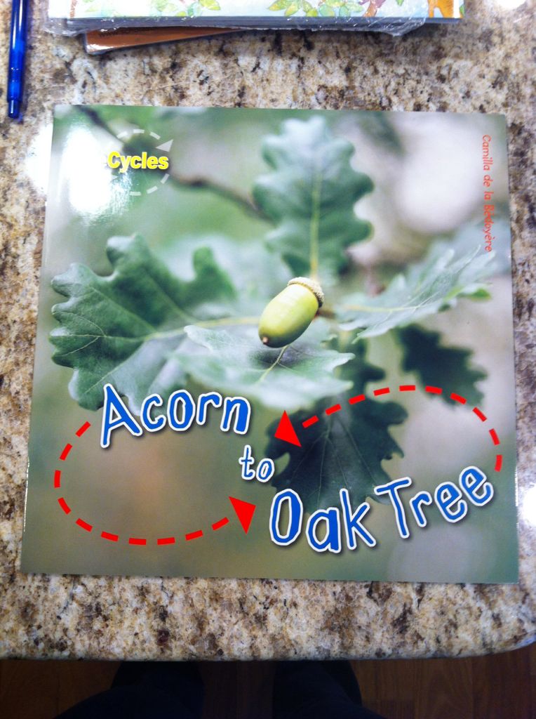 Acorn to Oak Tree Scholastic Book Clubs