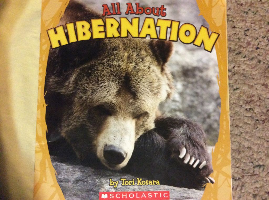 All about Hibernation