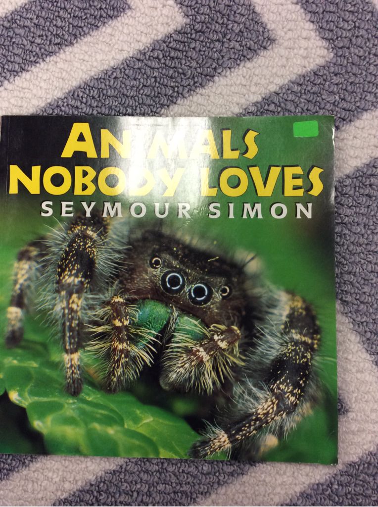 Animals Nobody Loves