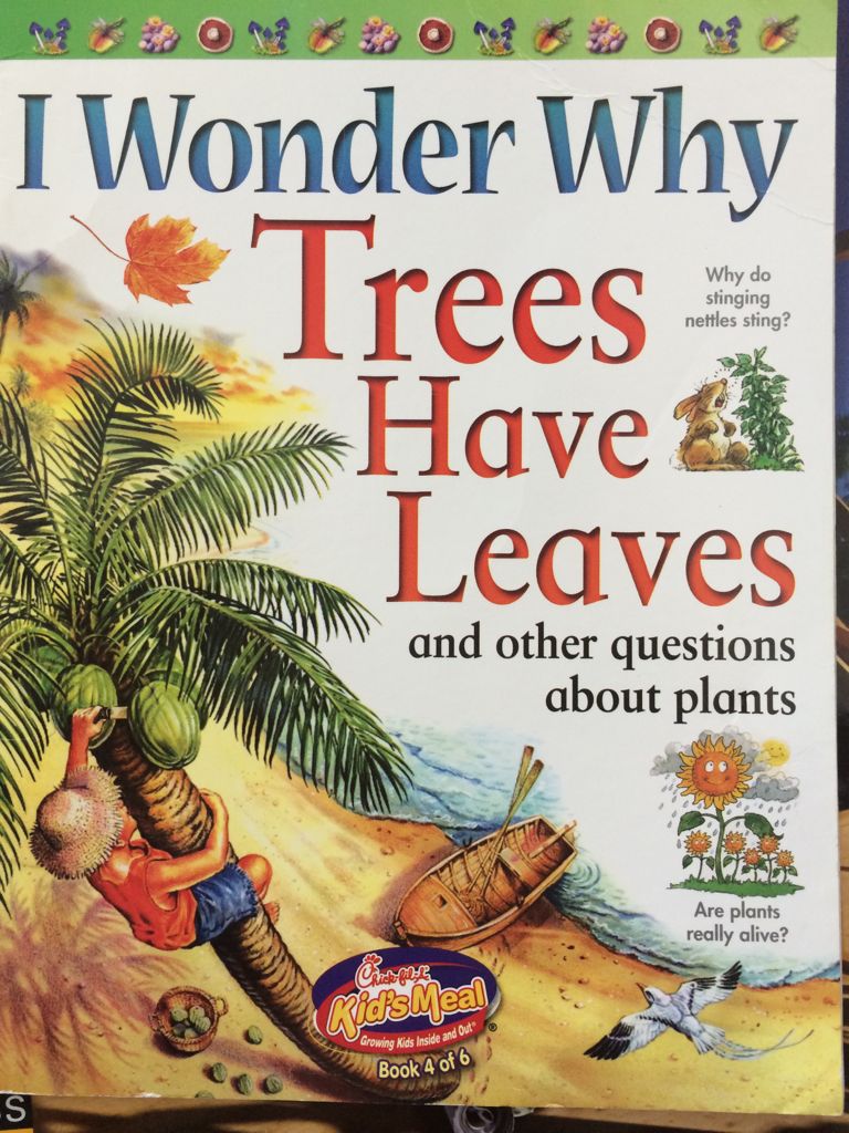I Wonder Why Trees Have Leaves And Other Questions About Plants