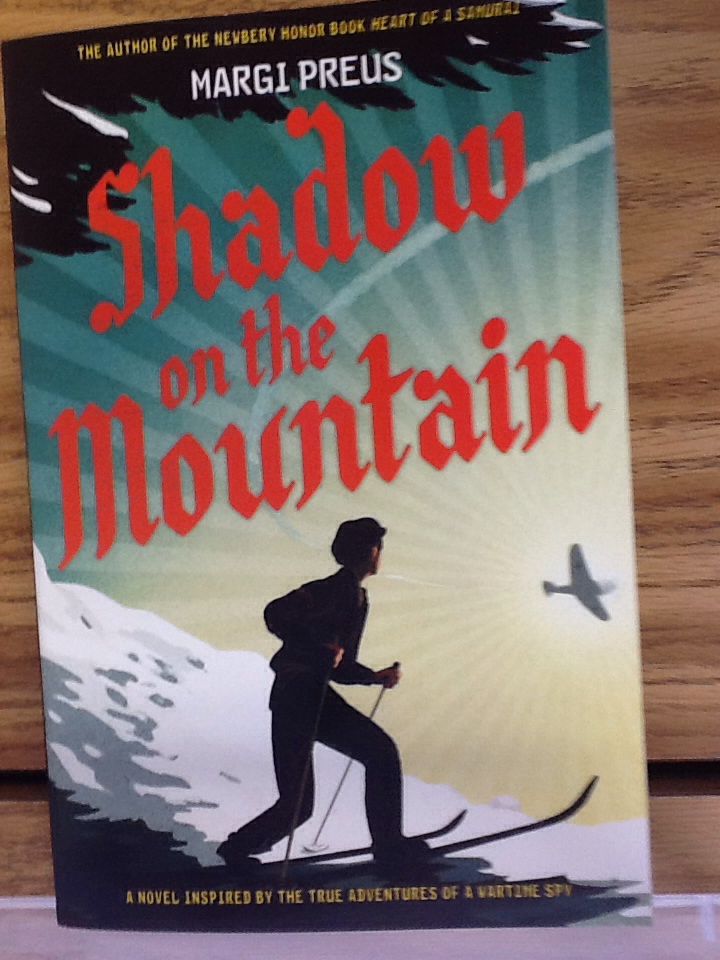 Shadow on the Mountain