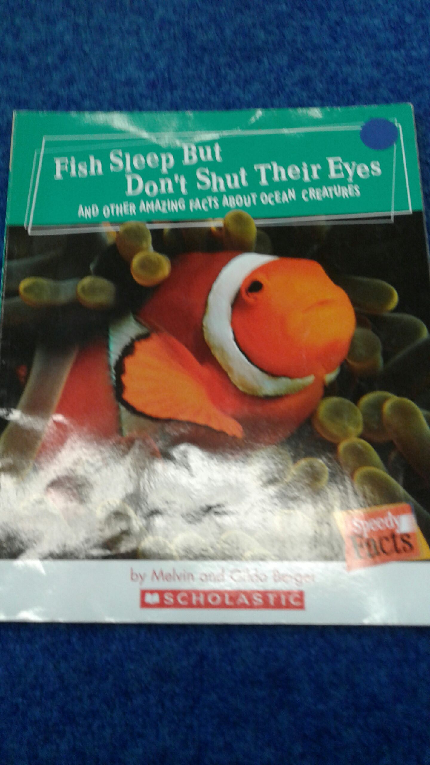 Fish Sleep But Don’t Shut Their Eyes