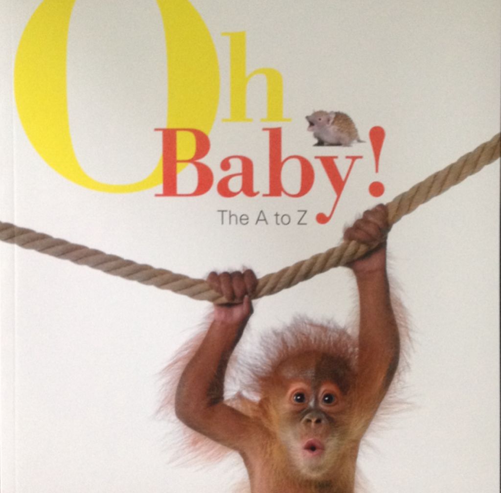 Oh Baby!