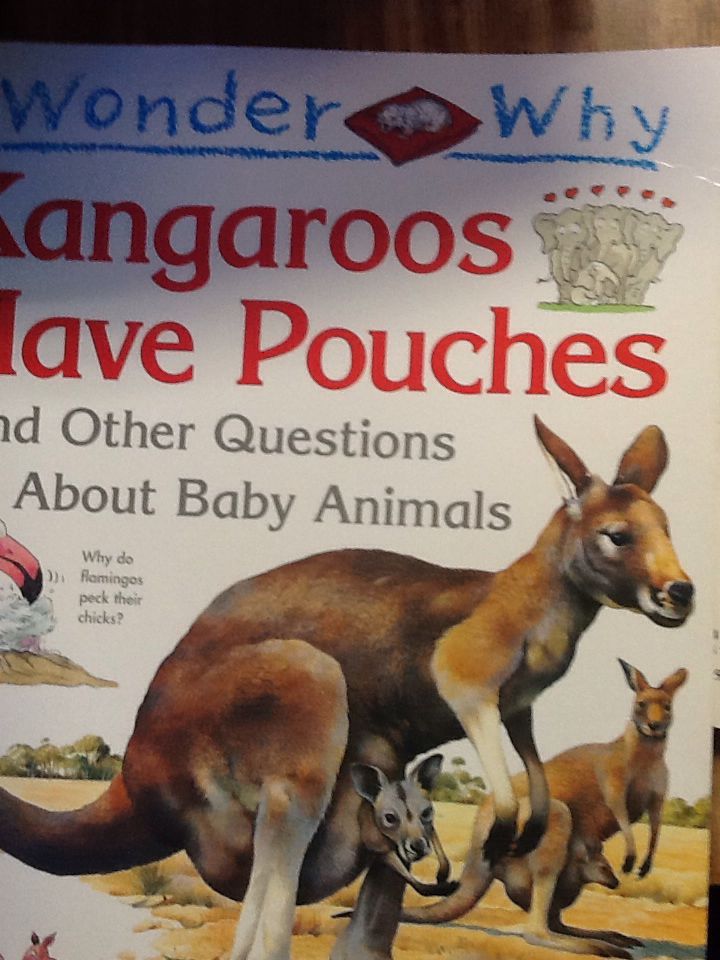 I wonder why kangaroos have pouches and other questions about baby animals - Jenny Wood (Kingfisher Books) book collectible [Barcode 9780753450499] - Main Image 1