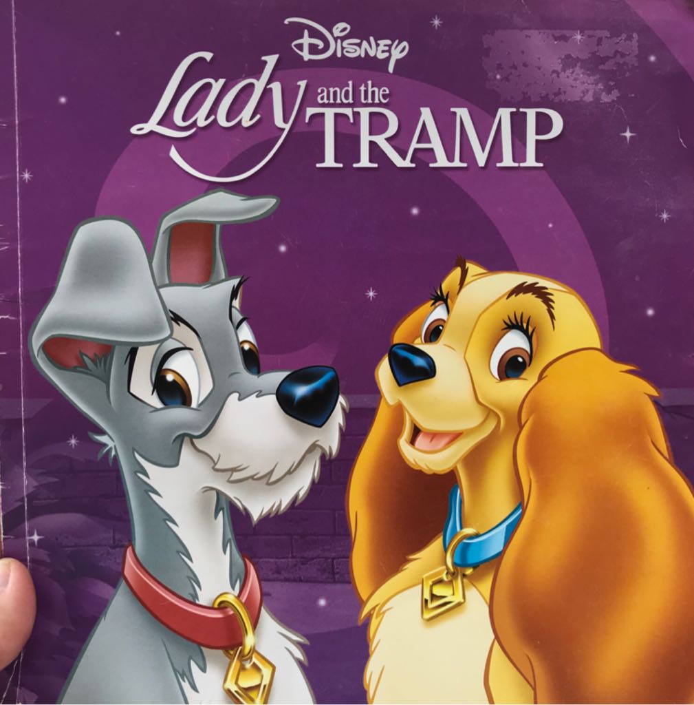 Disney Lady And The Tramp
