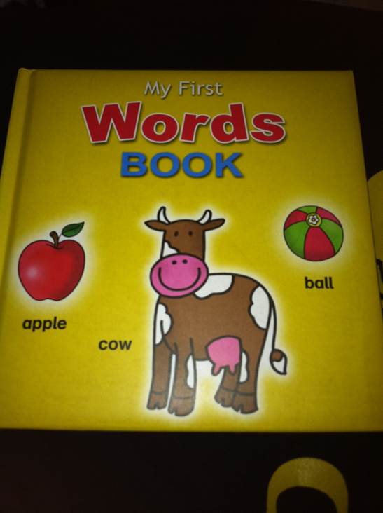 My First Words Book