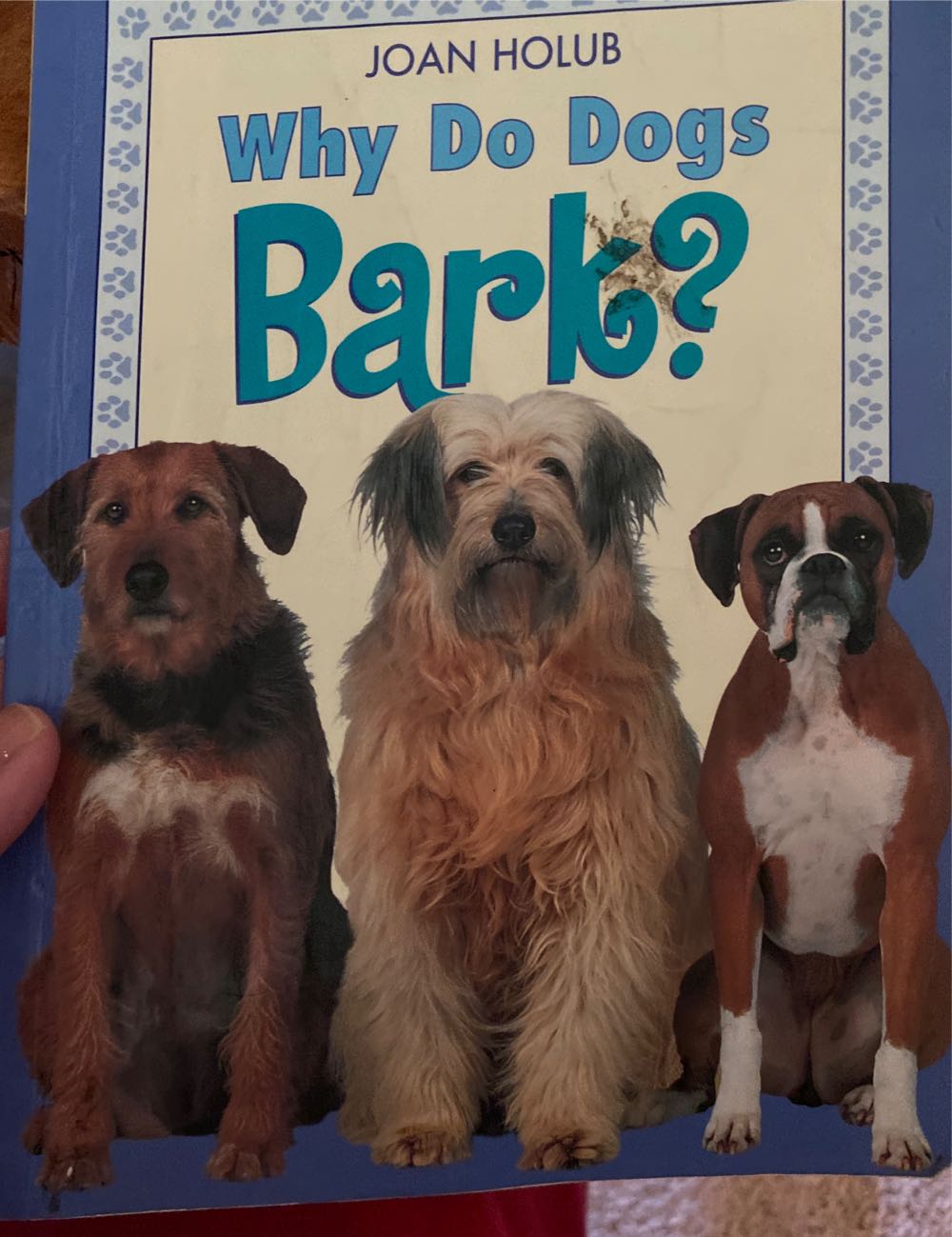 Why Do Dogs Bark? - Joan Holub (Penguin Young Readers) book collectible [Barcode 9780140567892] - Main Image 1