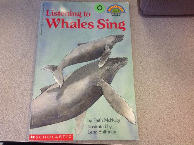 Listening to Whales Sing - Lena Shiffman (Cartwheel Books - Paperback) book collectible [Barcode 9780590478717] - Main Image 1